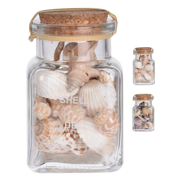 Julia - Shells In Glass Jar (Coquillages dans un bocal en verre)